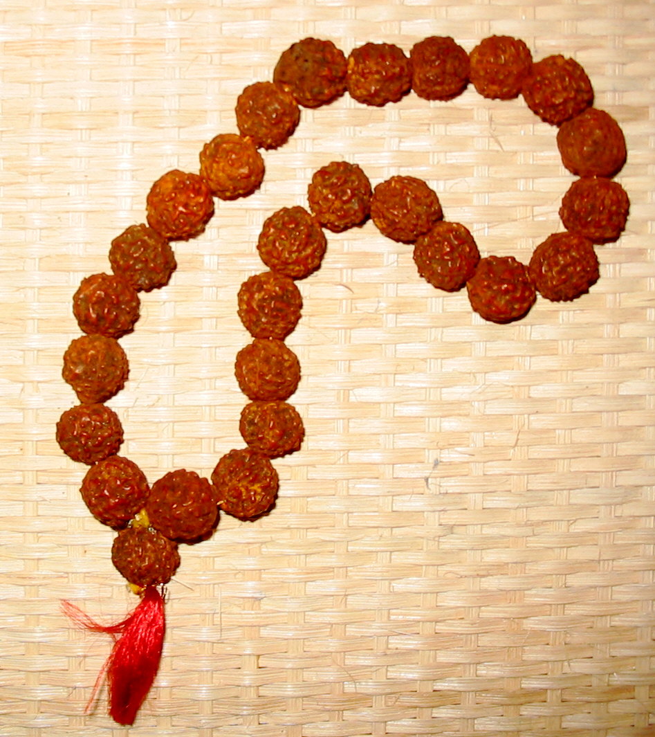 http://www.dionysiandreams.com/stringofprayer/Images/Rudraksha_beads.jpg